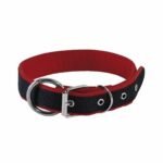 Collar para perro pequeño