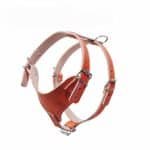 Pechera para perro mediano