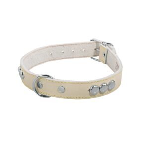 Collar de piel para perro 3/4"